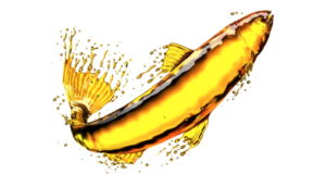 fish_oil