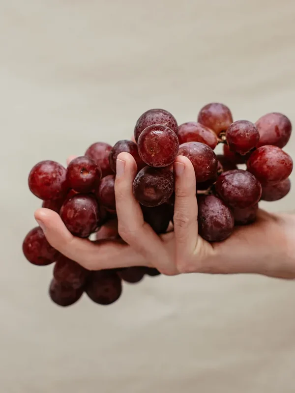 A hand holding a bunch of red grapes