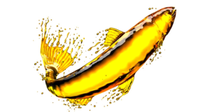 fish_oil