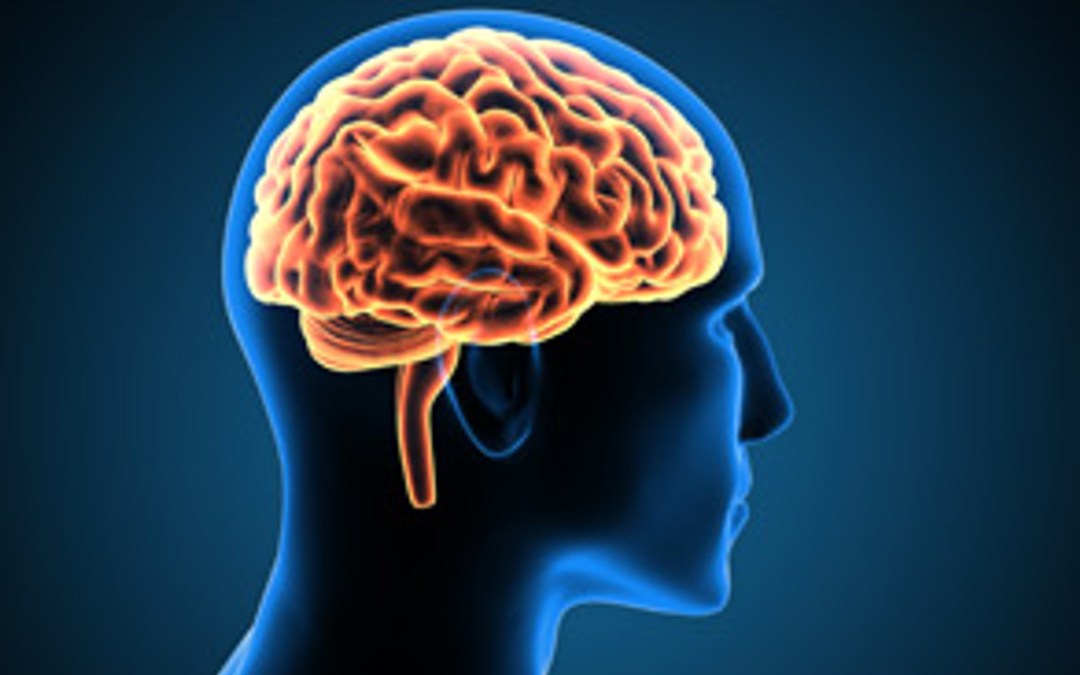 The Diet that Reduces Brain Aging.