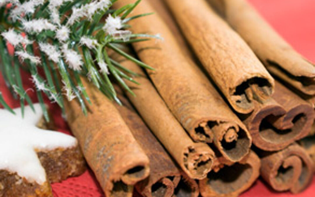 The Holiday Spice That Fights Fat!