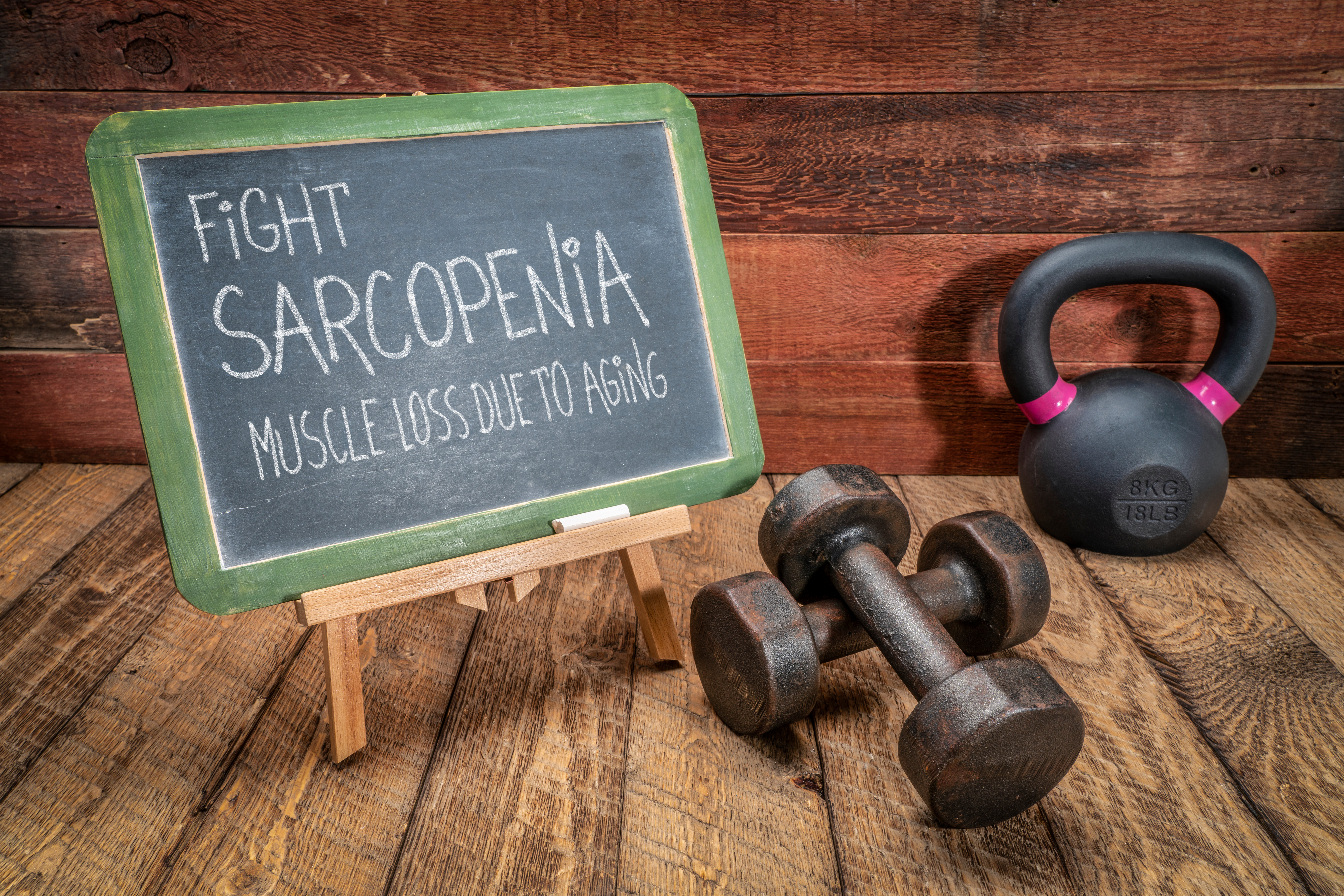 fight sarcopenia, muscle loss due to aging