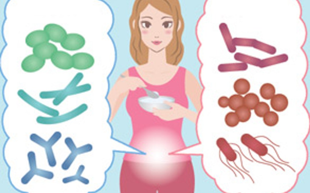 Can Probiotics Increase Lifespan?