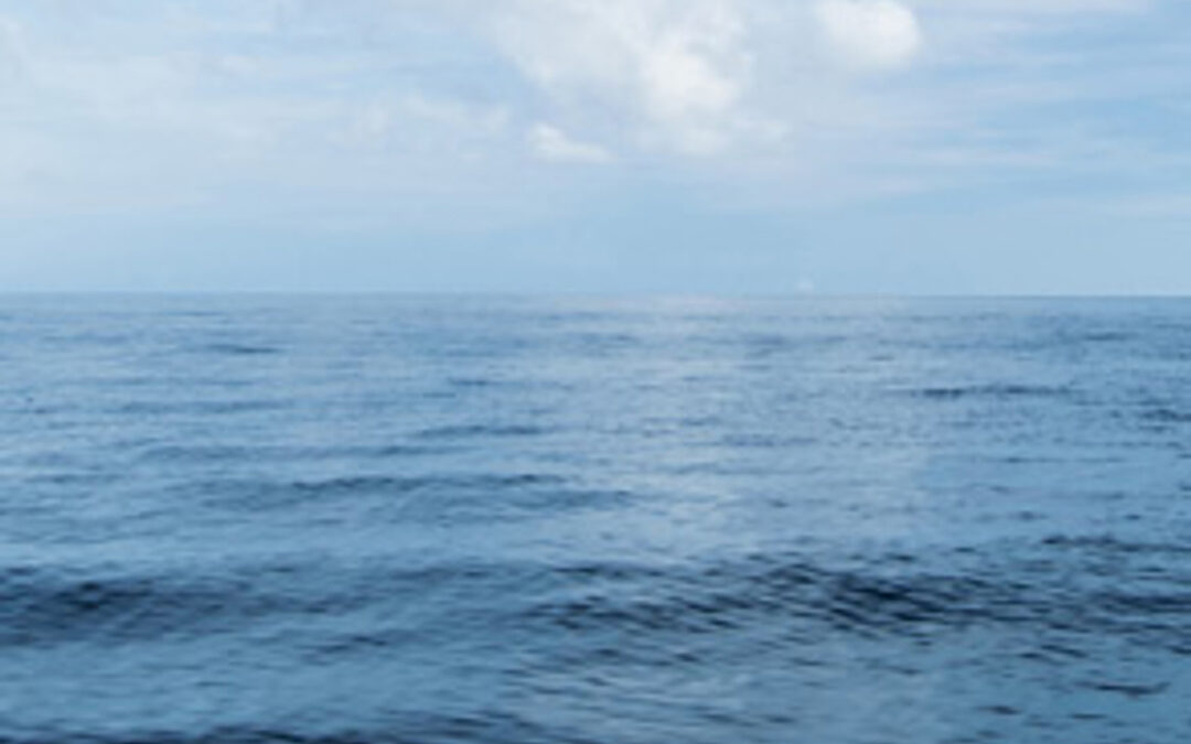 Help for Achy Joints from the Sea.