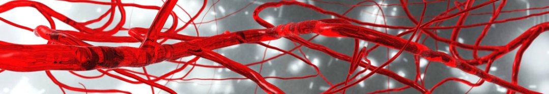 Tired? Can’t Focus? Get a Blood Test.